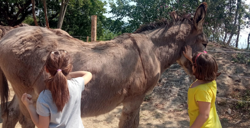Kinder spielen und streicheln mit einem Esel in Pietra Ligure