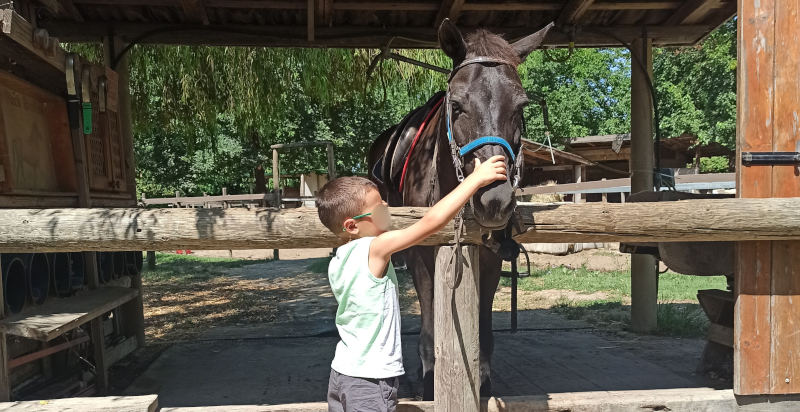 Reitunterricht für Erwachsene und Kinder in der Provinz Rovigo