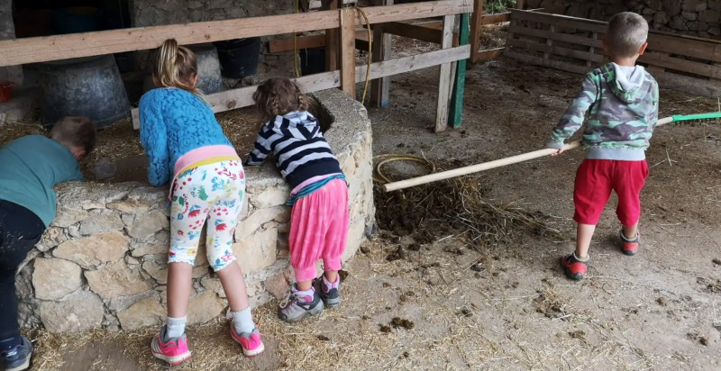 Kinder bei der Arbeit - geben den Eseln zu Essen - im Parco Asinolla