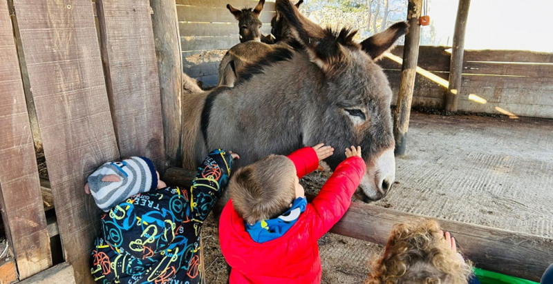 Kinder streicheln einen Esel am Reithof in Pietra Ligure