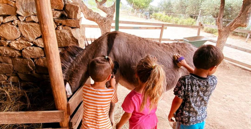 Kinder striegeln Esel im Parco Asinolla