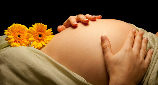 fotoshooting schwangere