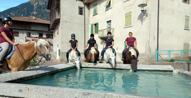 Pferde trinken Wasser von einem Brunnen in einem historischen Dorf im Trentino