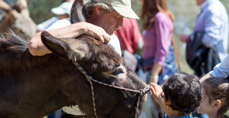 Kinder streicheln einen Esel in Pietra Ligure