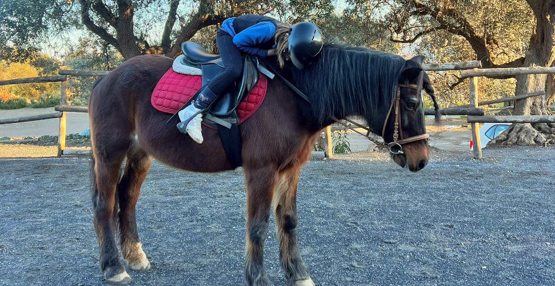 Reitkurs Mädchen auf dem Pferd