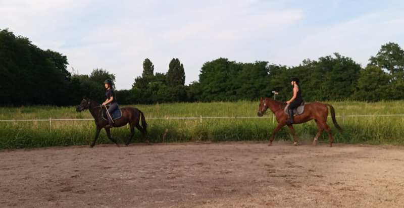 Privatunterricht im Reiten in Bosaro