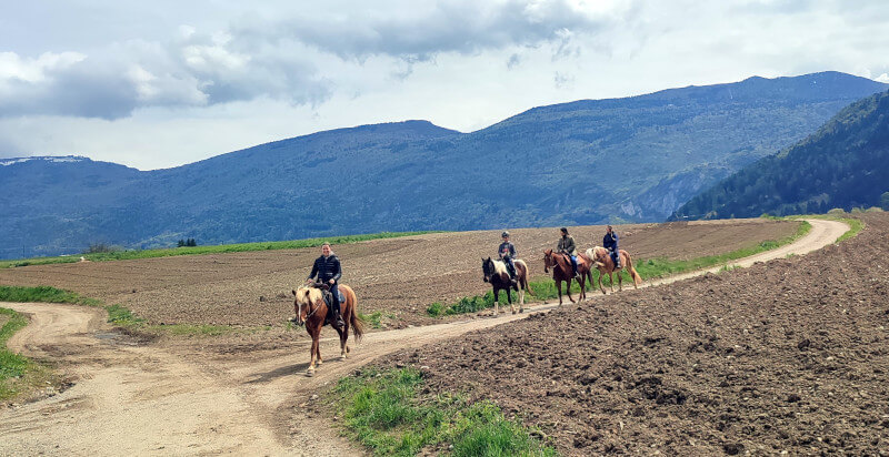 Reitausflug Pferde auf einem Pfad in Cavrasto