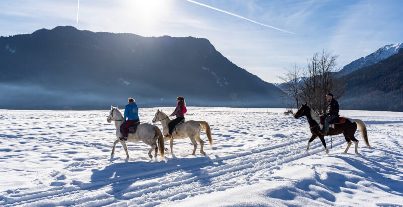 Ausritt im Winter verschneite Landschaft in Bleggio Superiore