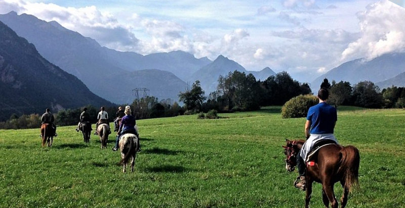 Ausritt Pferd Trentino