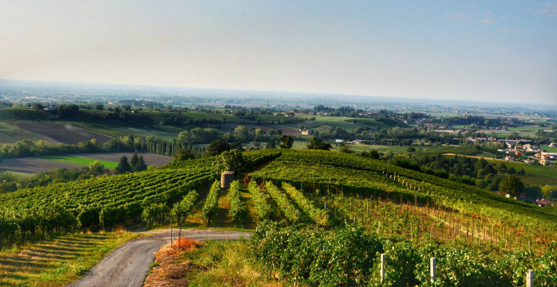 Panorama der Weinberge des Oltrepò Pavese während einer önogastronomischen Tour