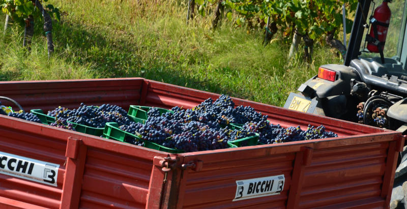 Verkostung von Weinen und typischen Produkten in einem Weingut im Oltrepò Pavese