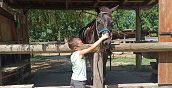 Reitunterricht für Erwachsene und Kinder in der Provinz Rovigo