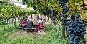 Geführte Weinverkostung im Bio Weingut Sanin in Südtirol