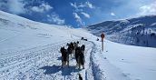 Val Martello Husky Erlebnisse