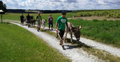 esel wanderung waldviertel