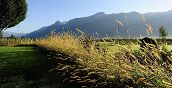 Golfclub Südtirol Kurse