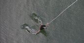 Bungee-Sprung mit Wassereinstieg in Österreich