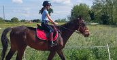 Reitunterricht und Ausritt in der Nähe von Rovigo