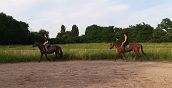 Privatunterricht im Reiten in Bosaro