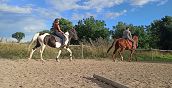 Privatunterricht im Reiten in Bosaro, Rovigo