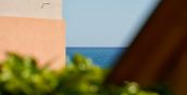 Panoramablick auf das Ligurische Meer zwischen den Olivenbäumen der Unterkunft