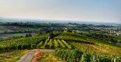 Panorama der Weinberge des Oltrepò Pavese während einer önogastronomischen Tour