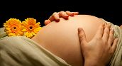 fotograf fotoshooting schwangerschaft