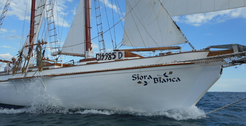 Siora Bianca