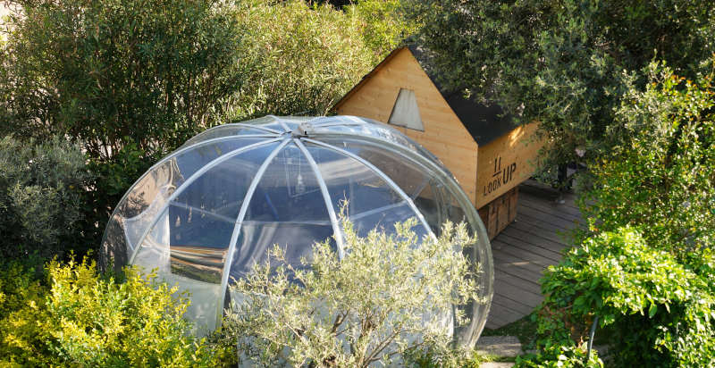 StarsBox aus Holz inmitten von Olivenbäumen im Residence Felice in Celle Ligure