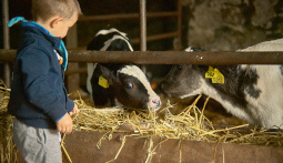 Tag am Bauernhof Kinder